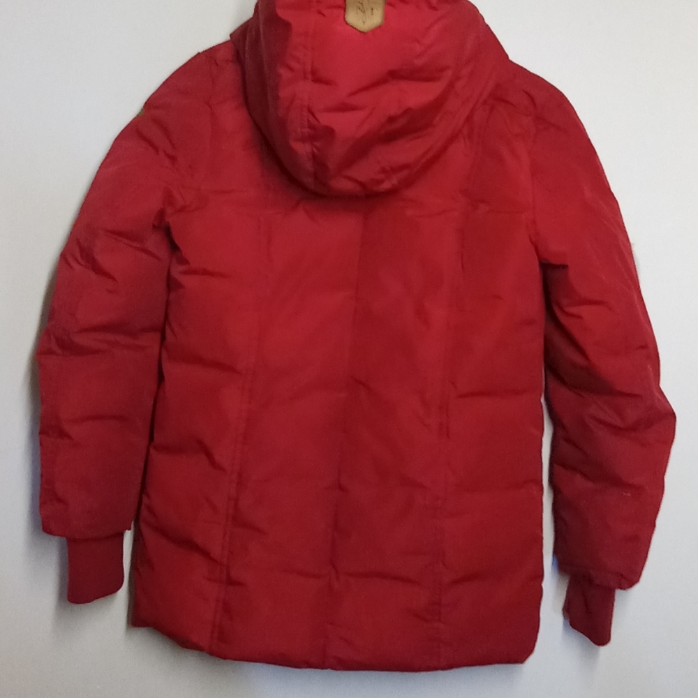Jacket - Picture 6 of 8
